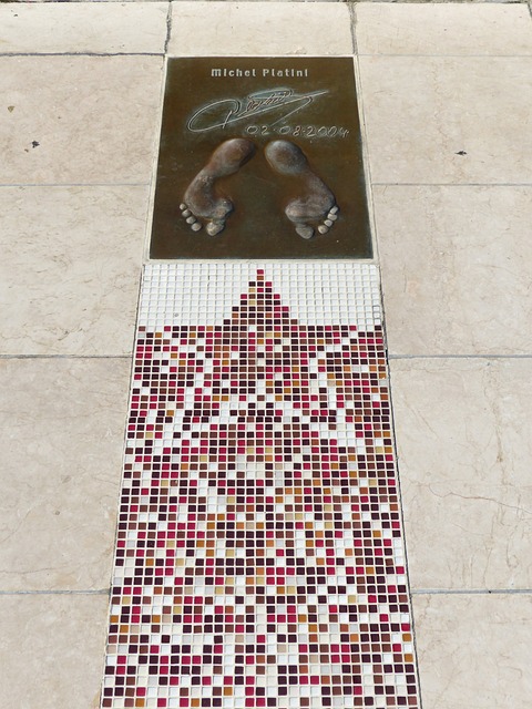 的綜合作用 的綜合作用