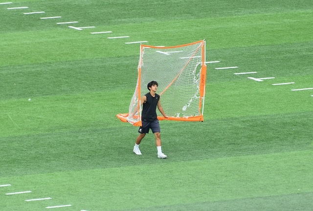 以下將為您 以下將為您