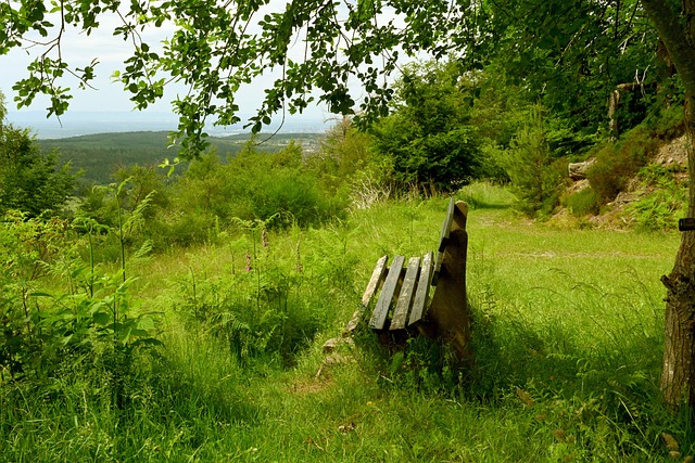 为此次盛会 为此次盛会