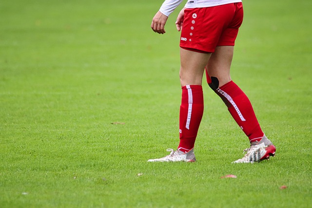 萨的主帅 萨的主帅