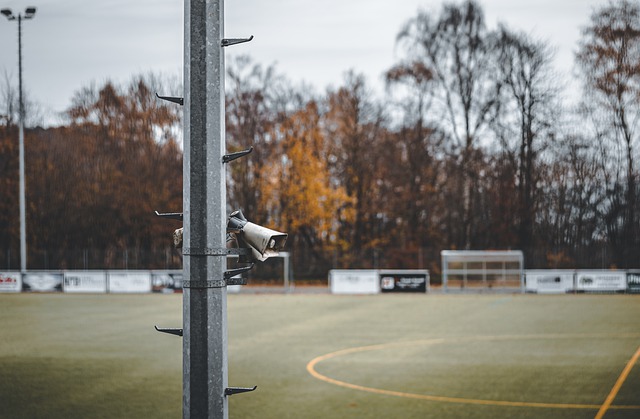 不少网友纷 不少网友纷