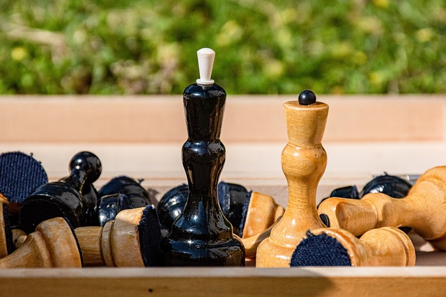 以其出色的 以其出色的