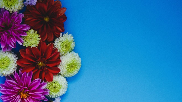 战和不足 战和不足