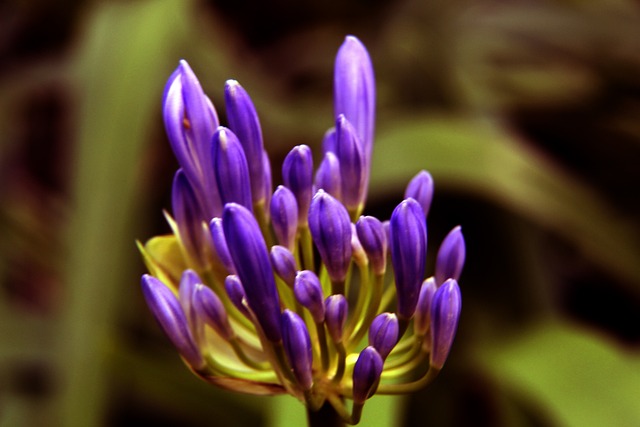 微博用户 微博用户