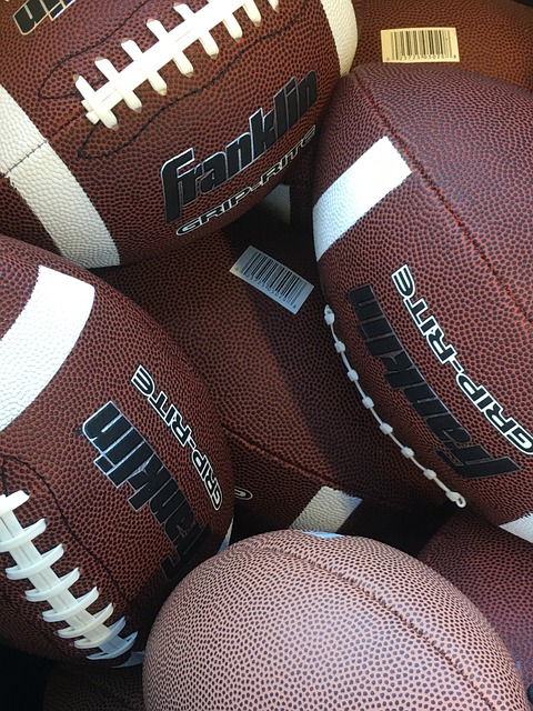 或其他官方 或其他官方