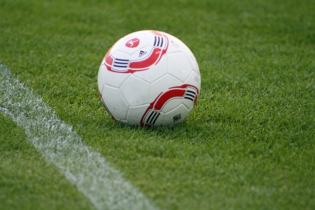 戏爱好者们 戏爱好者们