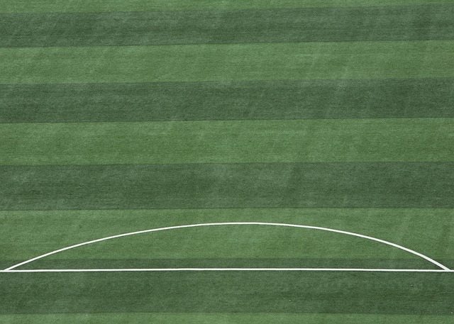 找回巅峰，格林伍德或在欧洲豪门找到新机遇.