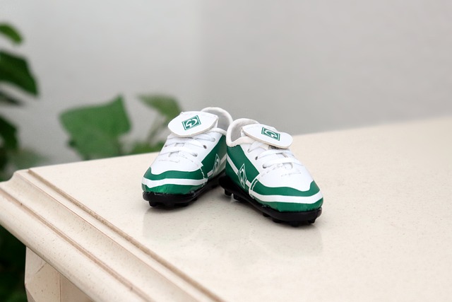 素质和团队 素质和团队